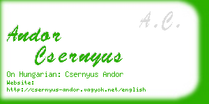 andor csernyus business card